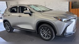2024 Lexus NX 350 Base