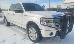 2013 Ford F-150 Platinum
