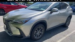 2024 Lexus NX 350 Base