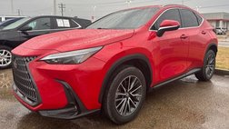 2025 Lexus NX 250 Premium