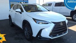2025 Lexus NX 350 Premium