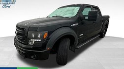 2014 Ford F-150 FX4