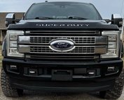 2017 Ford Super Duty F-250 Platinum
