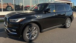 2023 Infiniti QX80 Luxe