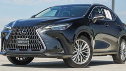 2024 Lexus NX 350 Luxury