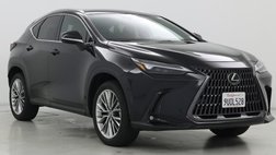 2025 Lexus NX 350 Luxury