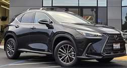 2025 Lexus NX 350h Premium
