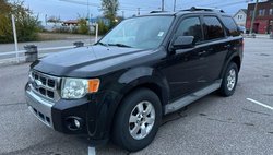 2010 Ford Escape Limited
