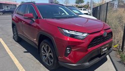 2024 Toyota RAV4 Hybrid XLE Premium