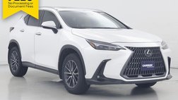 2025 Lexus NX 250 Premium