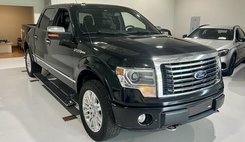 2013 Ford F-150 Platinum