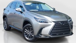 2024 Lexus NX 250 Base