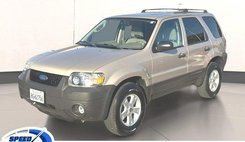 2007 Ford Escape XLT