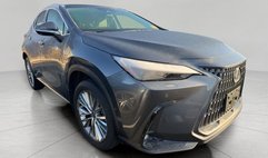 2025 Lexus NX 350h Luxury