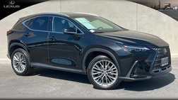 2025 Lexus NX 350h Premium