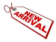 2014 Chevrolet Impala LS Fleet