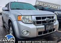 2009 Ford Escape Hybrid Limited