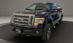 2010 Ford F-150 XL