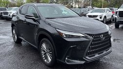 2023 Lexus NX 350h Premium