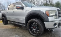 2013 Ford F-150 FX4