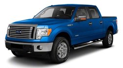 2010 Ford F-150 FX4