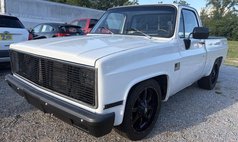 1982 Chevrolet C/K 10 Series C10