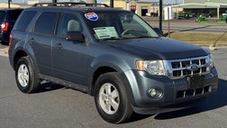 2010 Ford Escape XLT