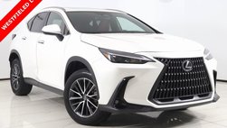 2024 Lexus NX 350h Premium