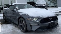2022 Ford Mustang EcoBoost